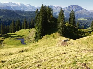 Wasserversorgung auf Schwyzer Alpen: «Das sind Projekte für Generationen» Auf vielen Alpen – hier das Alpgebiet Bergen-Schinboden – stammt das Wasser für das Vieh aus natürlichen Wasserspeichern, sogenannten Flöschen.(Bild OAK)