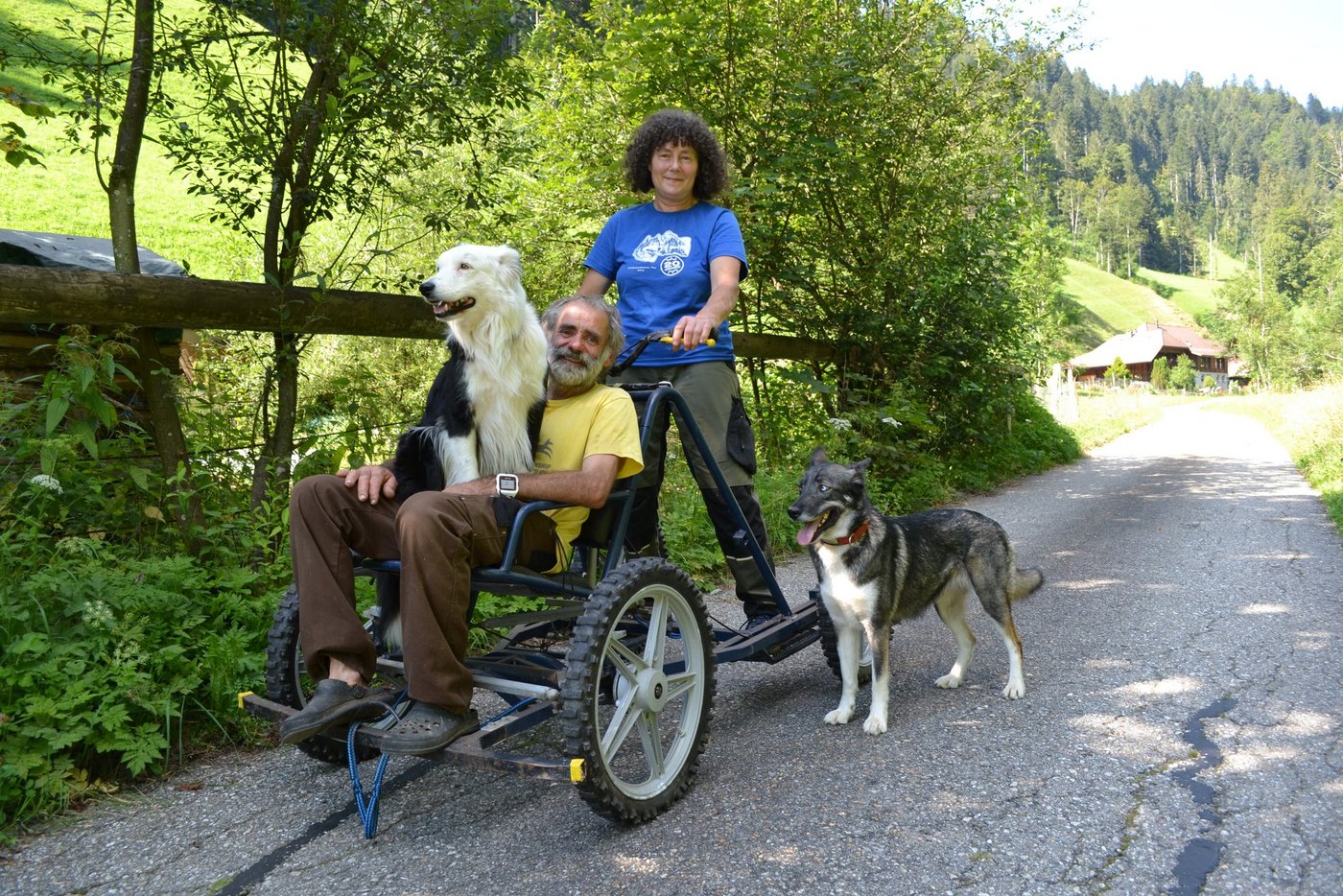 Die Border Collies von Barbara und Beat Käser sind doppelt aktiv: Sie hüten die hofeigenen Milchschafe und treten im Zughundesport an. Die Huskies des Ehepaares kommen ebenfalls vor dem Wagen oder beim Canicross zum Einsatz. (Bild lmc)