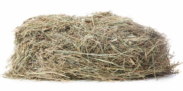 Im Kanton Freiburg gehen die Heureserven zur Neige. (Bild Archiv BauZ)