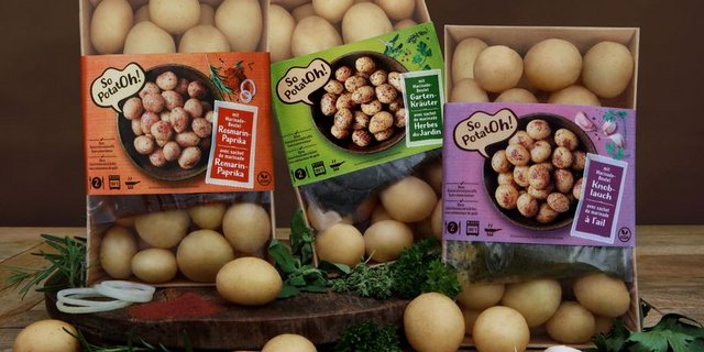 Die backofenfesten Schalen aus FSC-Papierfasern sind laut Terralog eine Neuheit in der Schweiz. (Bild Terralog AG)