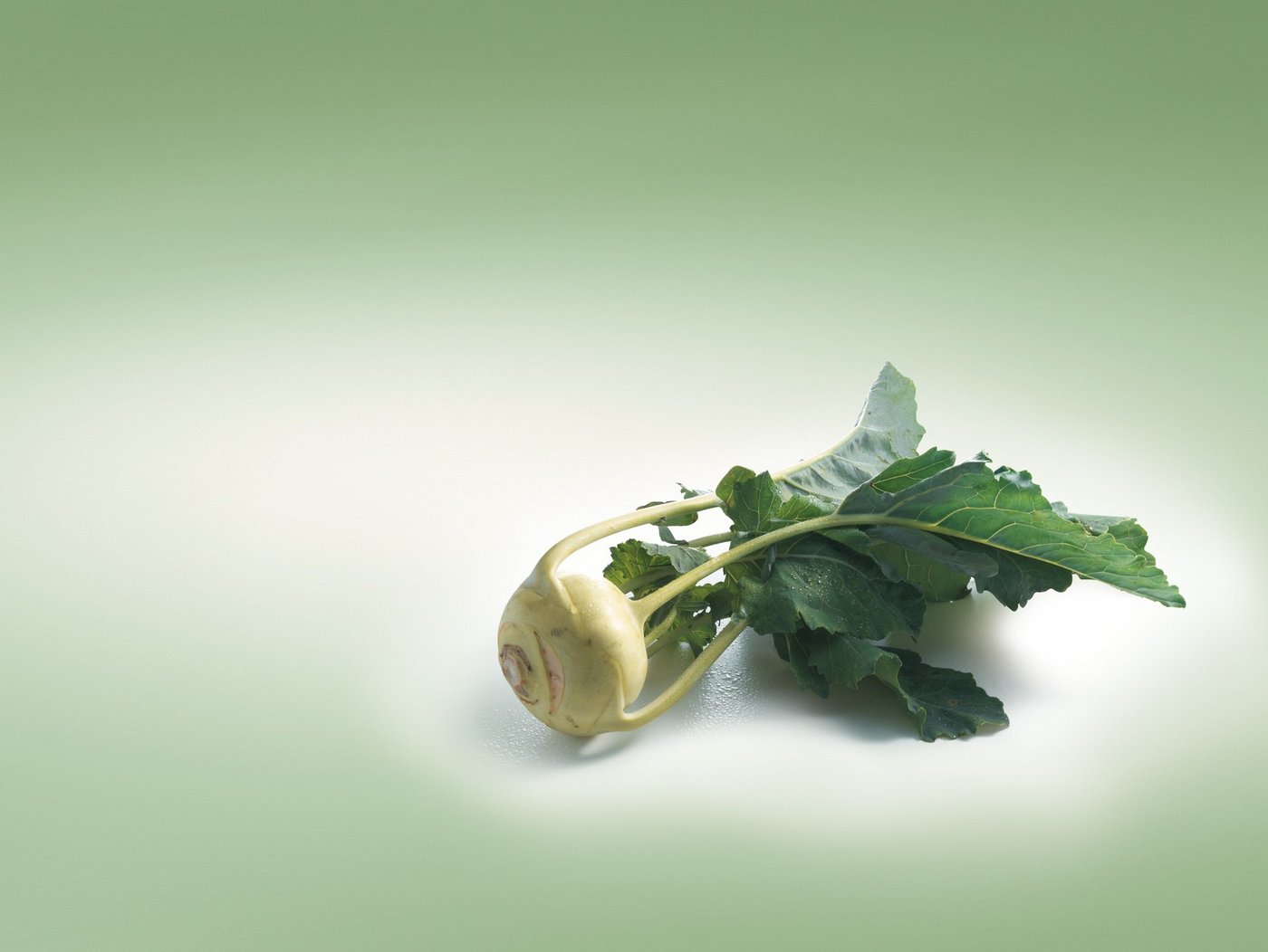 Kohlrabi ist kalorienarm und hat einen hohen Gehalt an den Vitaminen C und B. (Bild: VSGP) 