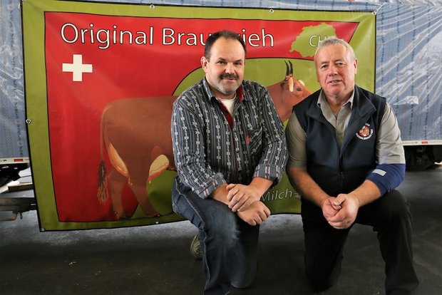 Original Braunvieh ist so populär wie nie Zwei Berner Oberländer mit vielen Gemeinsamkeiten: OB-Präsident Dres Anderegg (rechts) durfte Christian Tschiemer von den reinen Simmentalern begrüssen. (Bild rb)