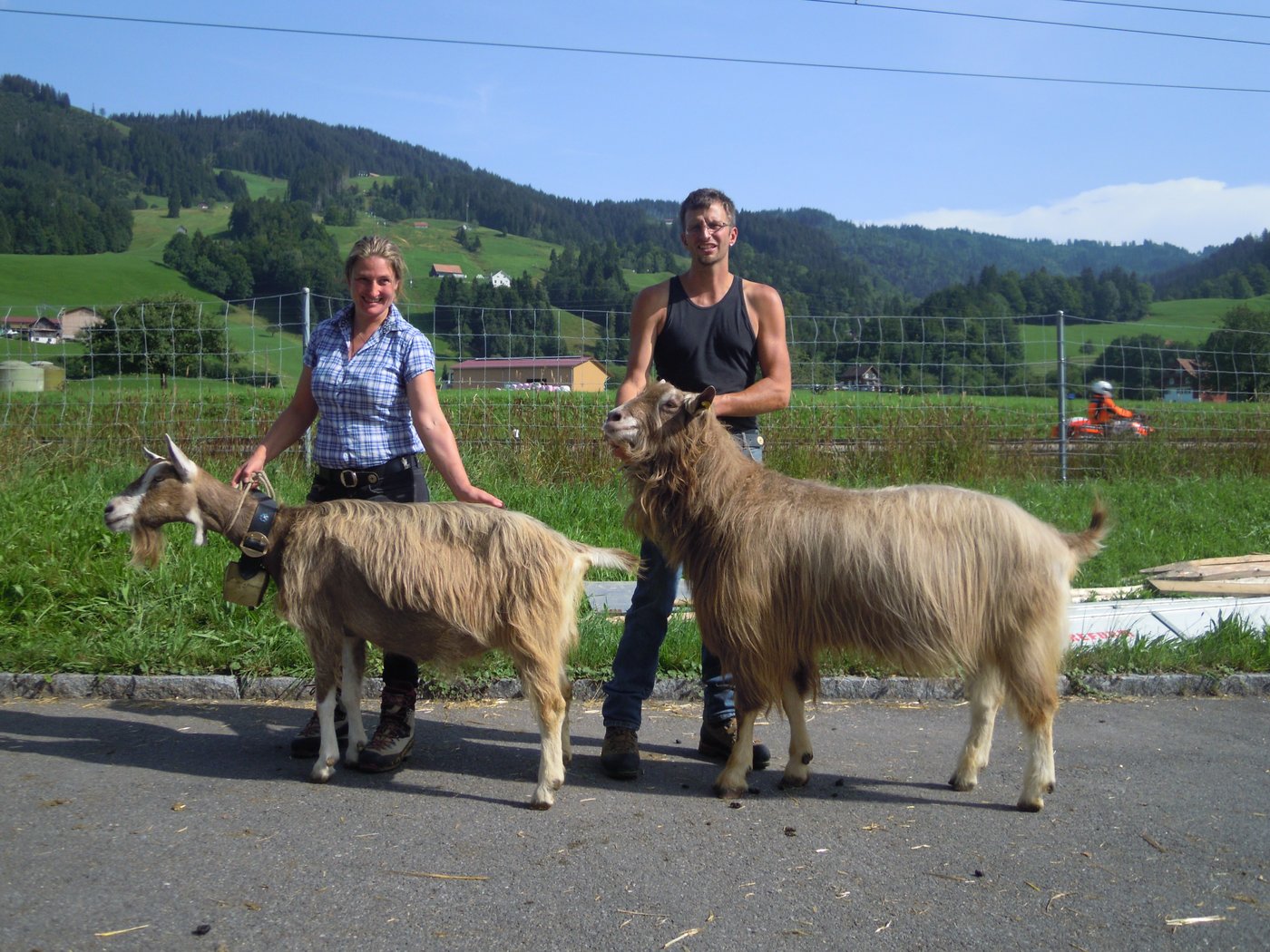 Philipp Röösli, Bramboden gewann mit seinem Ziegenpaar den begehrten Prix Hodel 2017. 