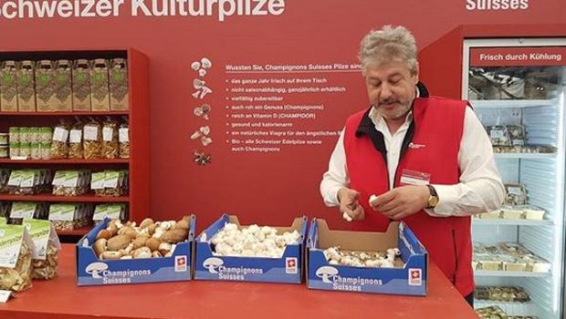 Der Stand von Champignons Suisse an der BEA 2019. (Champignon Suisse)