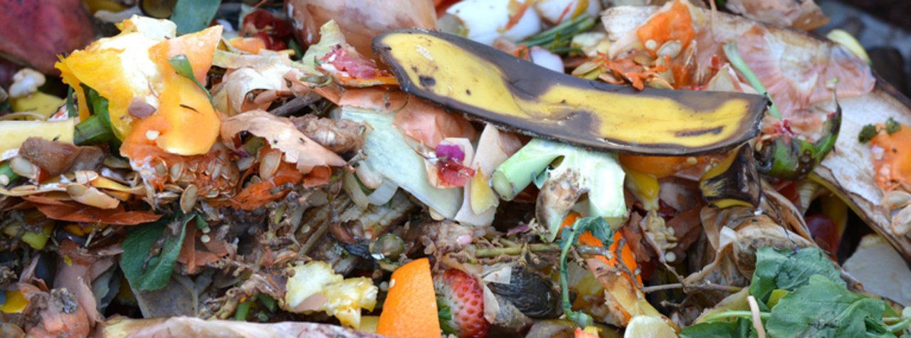 Die OGG und foodwaste.ch wollen für das Thema Food Waste sensibilisieren. (Bild pd)