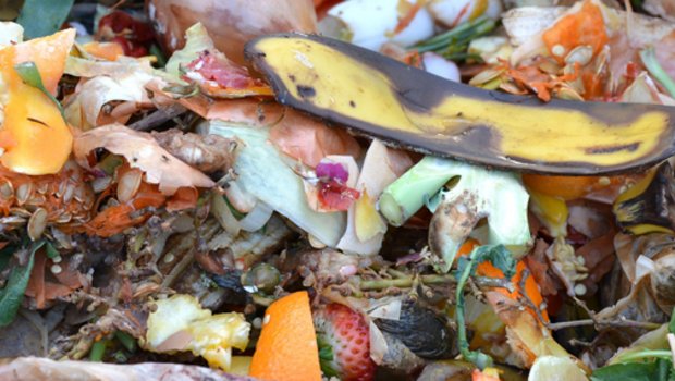 Die OGG und foodwaste.ch wollen für das Thema Food Waste sensibilisieren. (Bild pd)