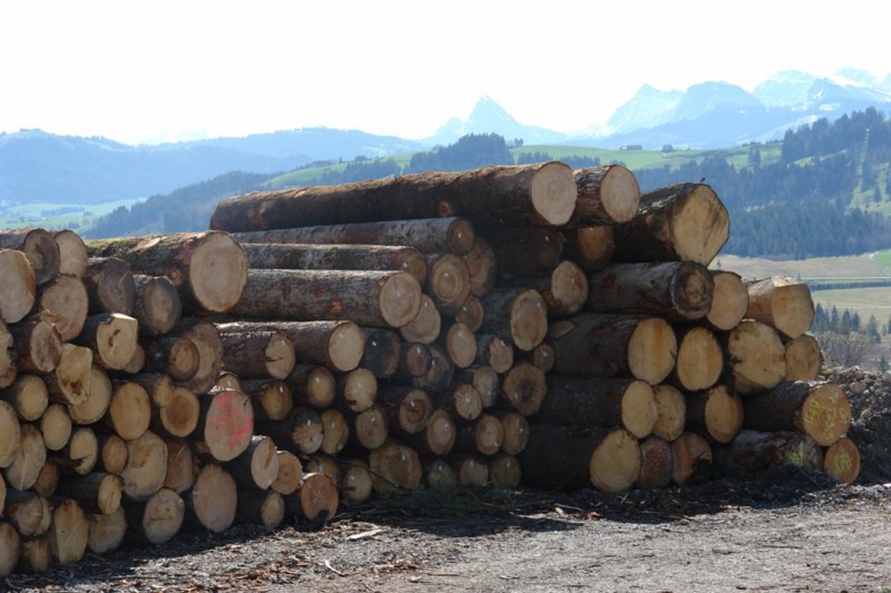 Der Absatz auf inländischen Baustellen müsse erhalten bleiben, schreibt die Initiative Holz BE. (Bild BauZ)