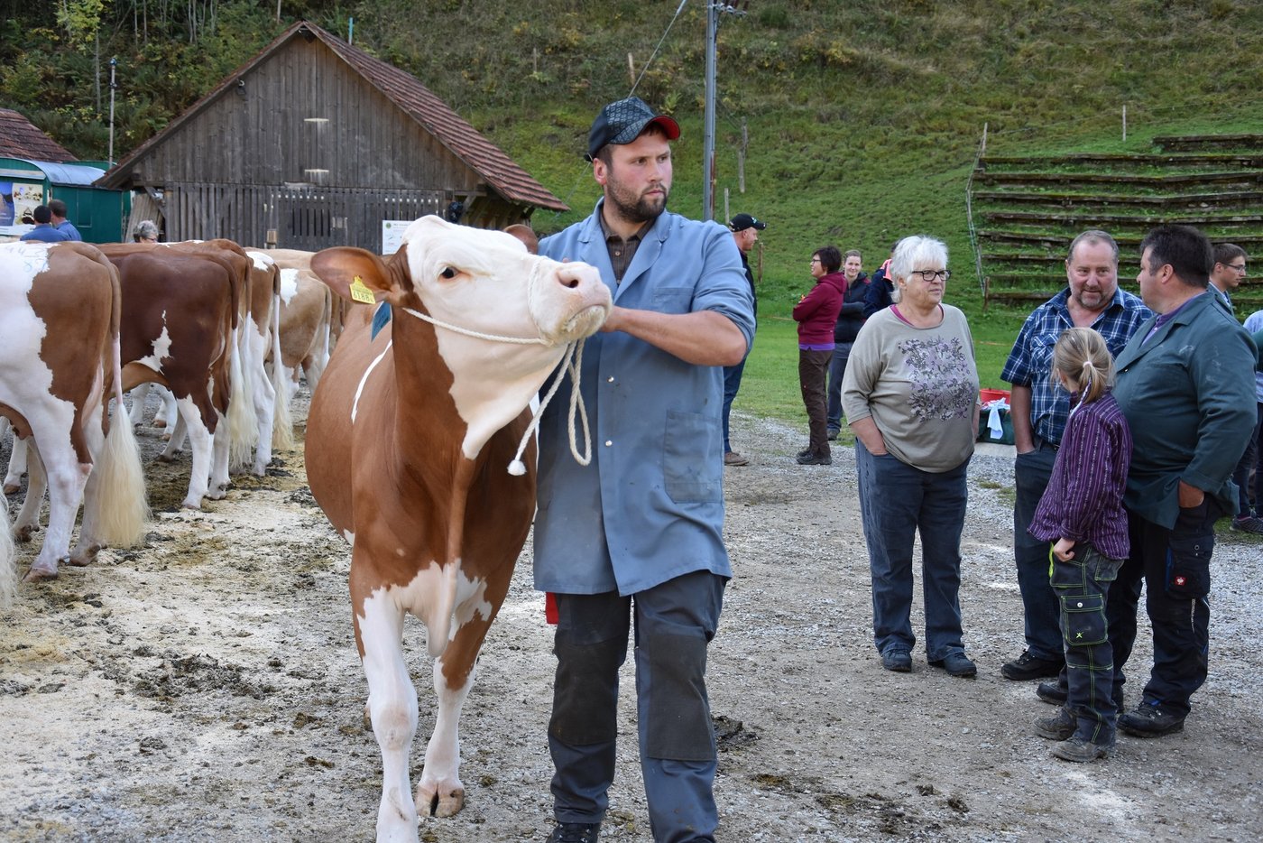 Der Jungzüchter David Gerber. Er ist auch ein gefragter Richter.
