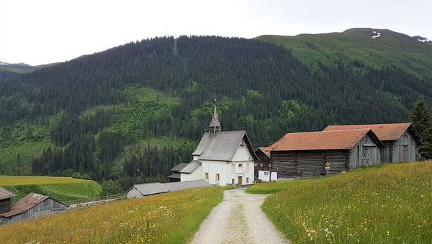 Werden die Wildschäden zu gross, kann sich der Wald nicht verjüngen und die Schutzwaldfunktion geht verloren. (Bild ji)