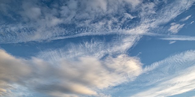 Ammoniak kann in der Luft zur Bildung von Feinstaub und Ozon beitragen. (Bild Pixabay) 