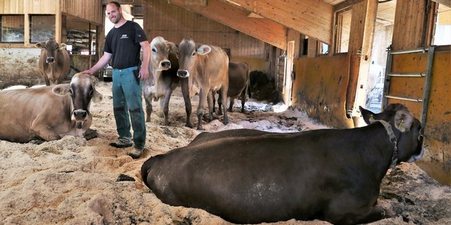 Mensch und Tier fühlen sich im Kompoststall sichtlich wohl. Christian Kündig mit seinen Milchkühen. (Bilder reb)