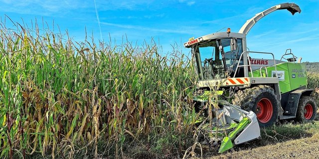 Silomaisernte im Kanton Luzern diesen Herbst: Die Kultur ist gefragt, die Anbauflächen steigen. Für den Anbau 2026 gelten aber je nach Kanton unterschiedliche Bedingungen. 