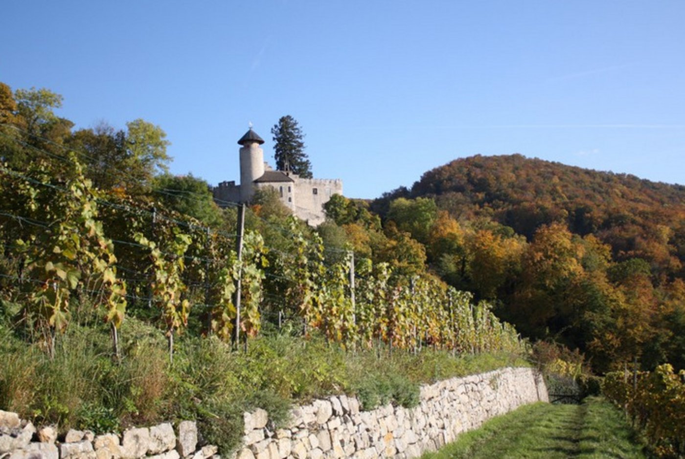 Einige Pestizide müssen häufiger angebracht werden, weil sie weniger regenfest sind - stabile Schönwetterfenster sind gefragt. (Bild lid/mr)
