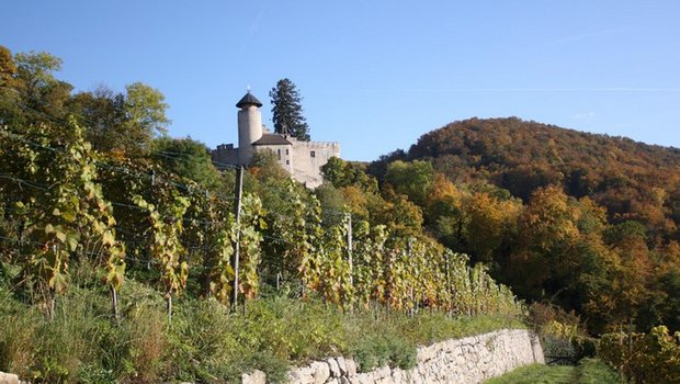 Einige Pestizide müssen häufiger angebracht werden, weil sie weniger regenfest sind - stabile Schönwetterfenster sind gefragt. (Bild lid/mr)