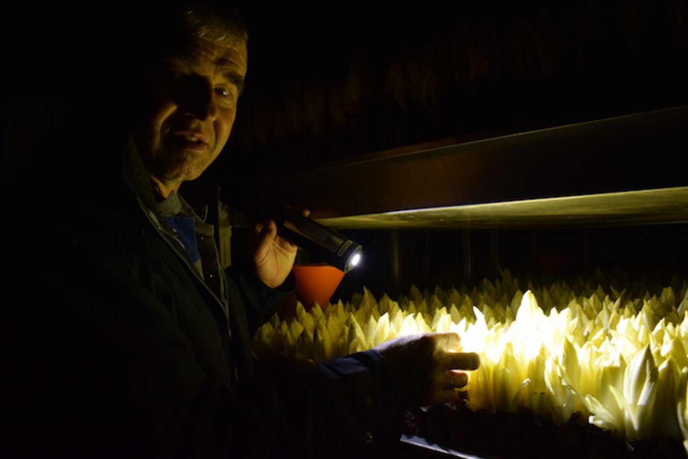 Markus Schumacher in der Treiberei. Hier herrscht vollkommene Dunkelheit.