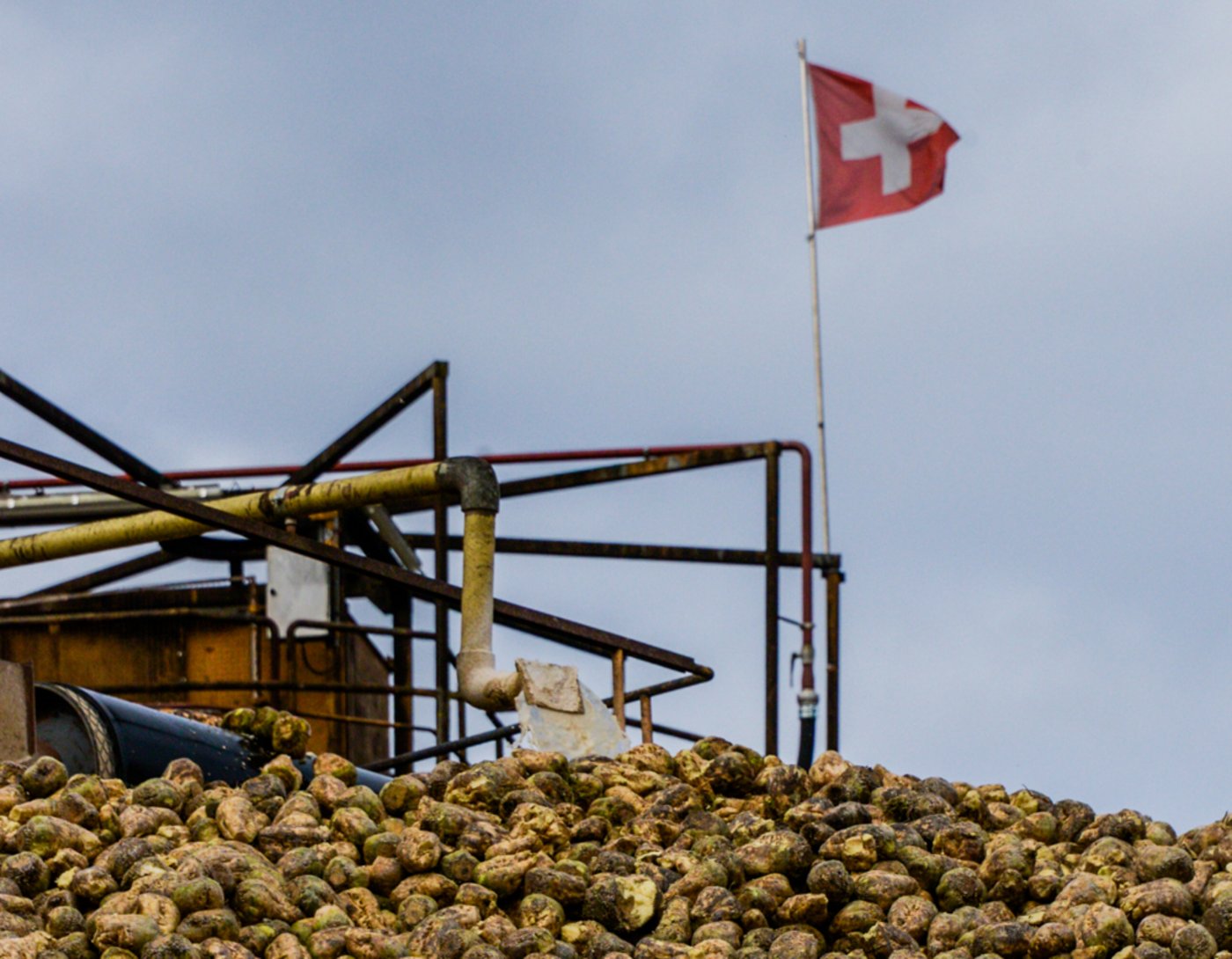 Schweizer Zucker aus Schweizer Zuckerrüben. (Bild hja)