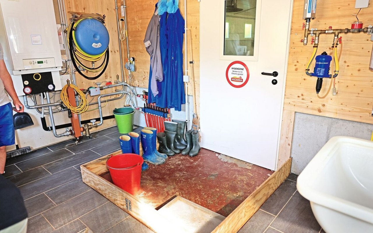 Die Hygieneschleuse wird gezeigt: Vor der inneren Stalltüre gibt es einen mit Fussleisten abgetrennten Bereich, in dem auch das Schuhdesinfektionsbad steht.