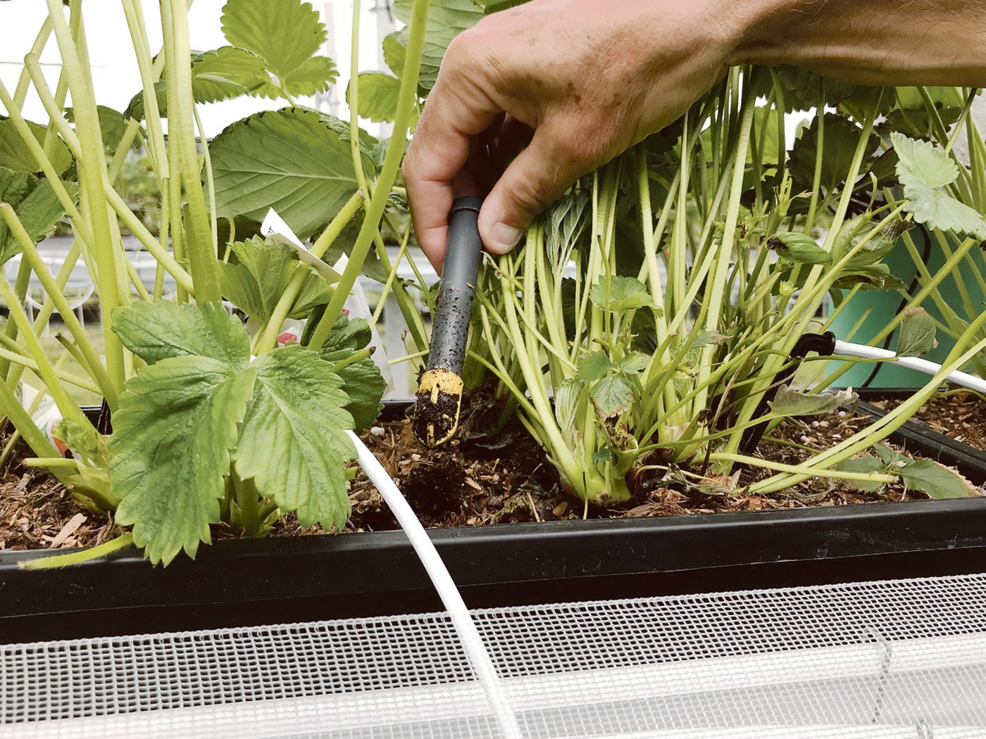 Unterstützung durch moderne Technik: Sensoren melden per Funk, ob genügend Wasser vorhanden ist.