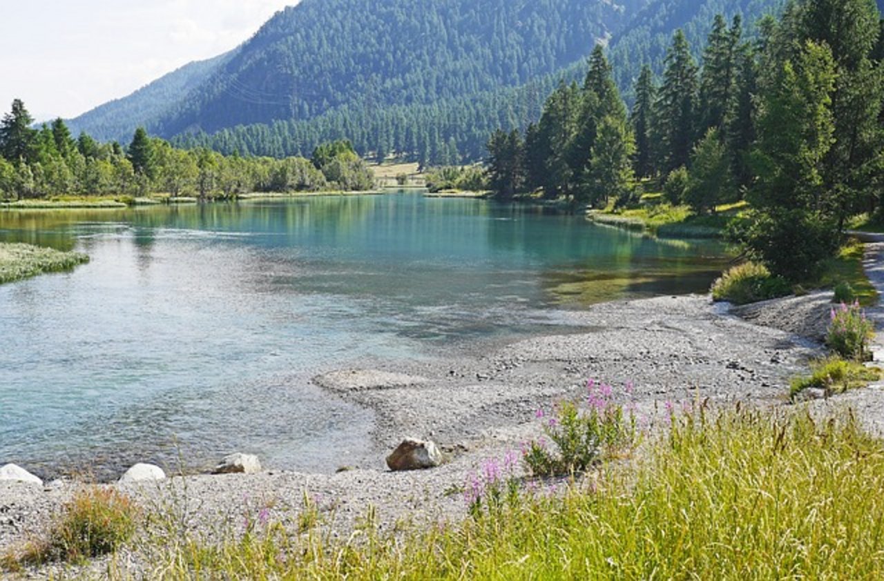 In der Schweiz gibt es laut dem Bundesamt für Landwirtschaft 43 Smaragd-Lebensräume und rund 140 Smaragd-Arten. (Symbolbild pixabay)