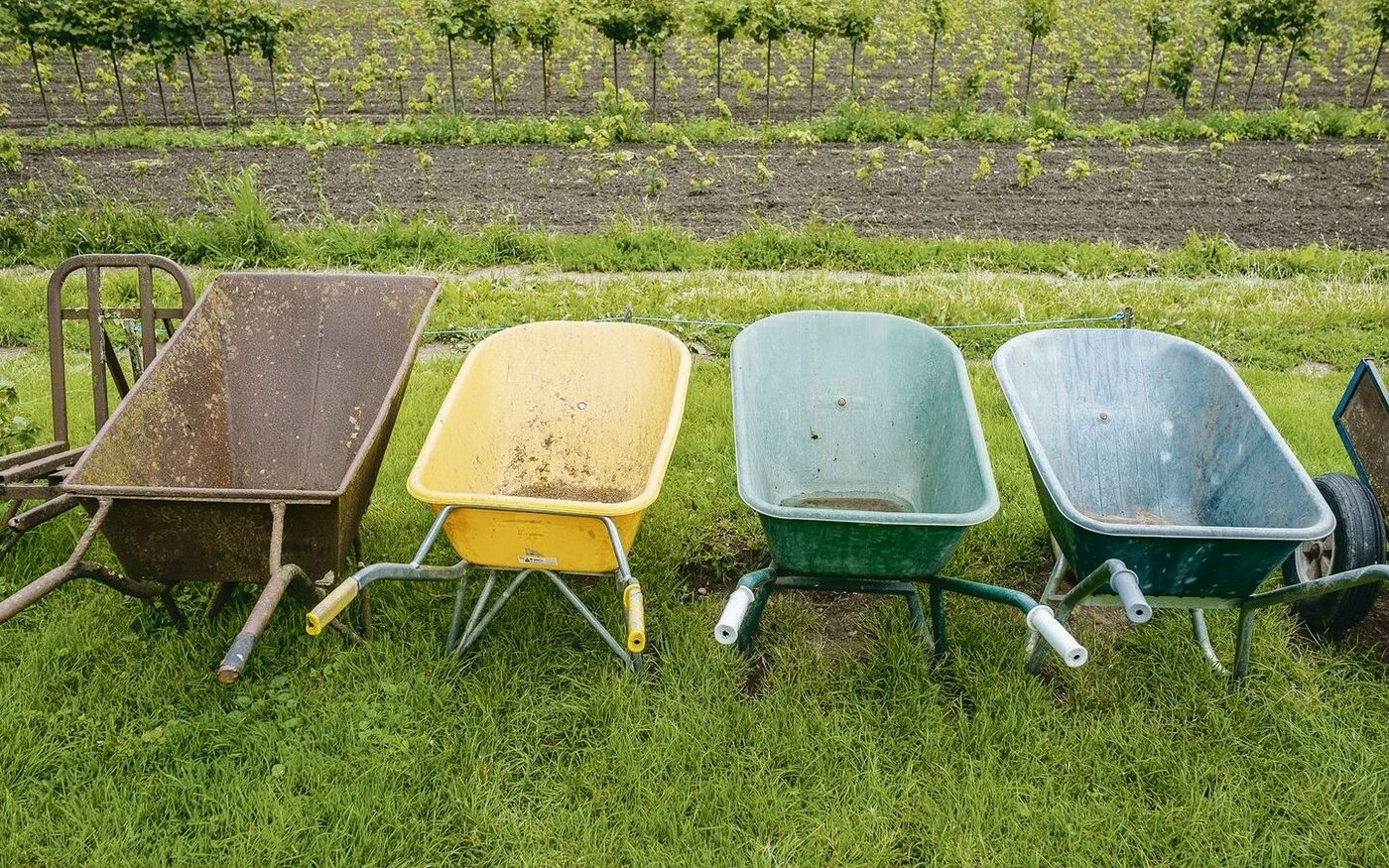 Miteinander aktiv sein: In den Niederlanden haben sich vor allem Tagesstrukturen in der Landwirtschaft für Menschen mit besonderen Bedürfnissen etabliert. Die Anbieter verfügen über ein eigenes Qualitätssiegel und eine Weiterbildungs-Akademie. 