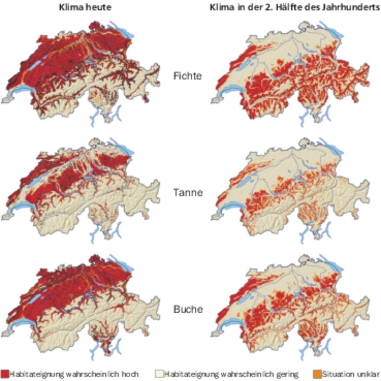 Die Gebiete, wo Fichte, Tanne und Buche wachsen können (rote Flächen) verschieben sich langfristig.(Bild WSL)