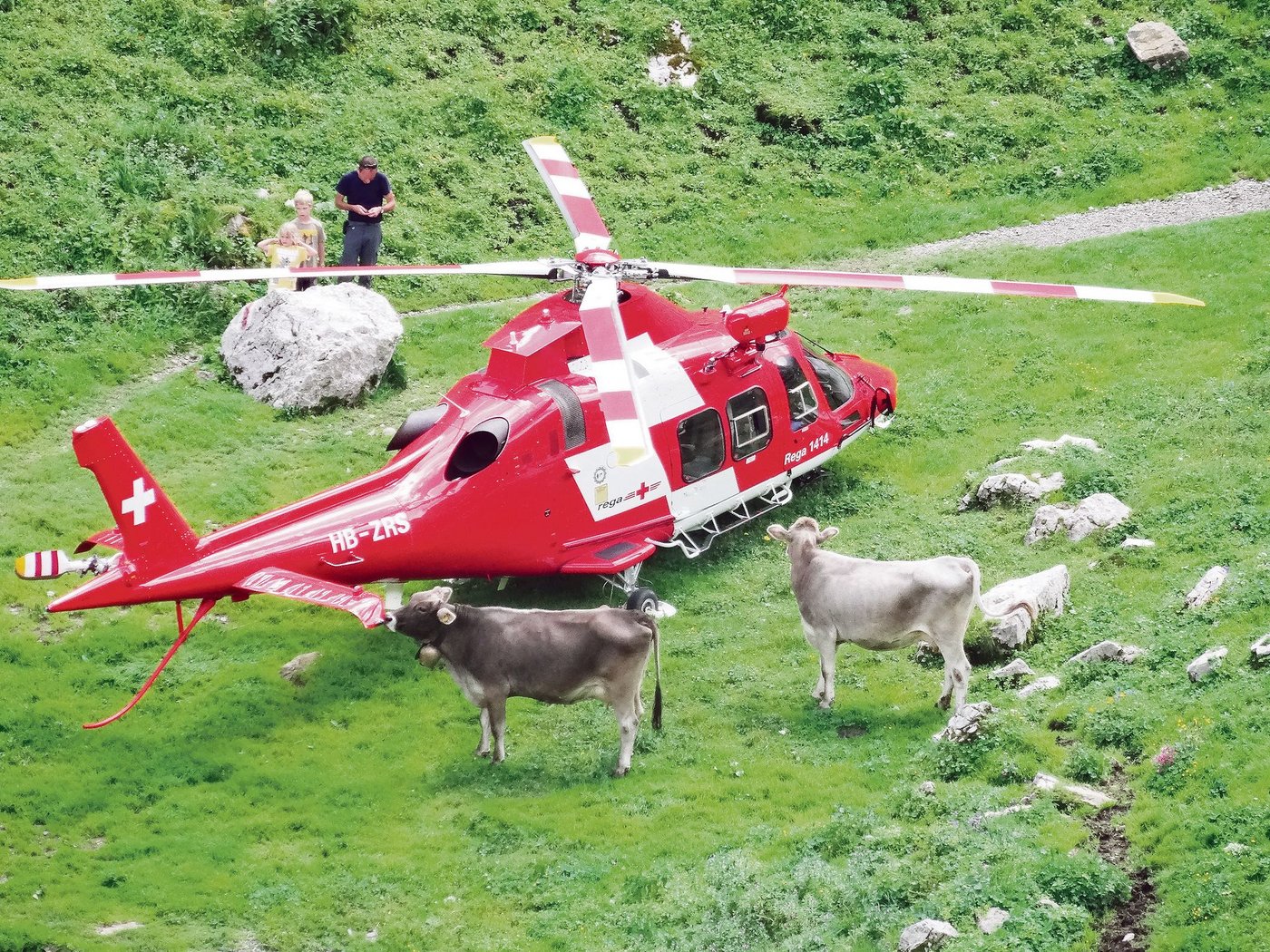 Eine Tierunfallversicherung entschädigt den Verlust des Tieres, wenn es sich in unwegsames Gelände versteigt und abstürzt oder sich an Felsen verletzt. (Bild Josef Scherer)