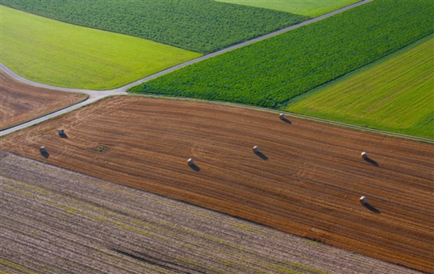 Der Anteil der Landwirtschaftsfläche an der Gesamtfläche des westlichen Drittels der Schweiz sank in der untersuchten Zeitperiode von 48 auf 45 Prozent. (Bild Marielle Gubelmann/landwirtschaft.ch)
