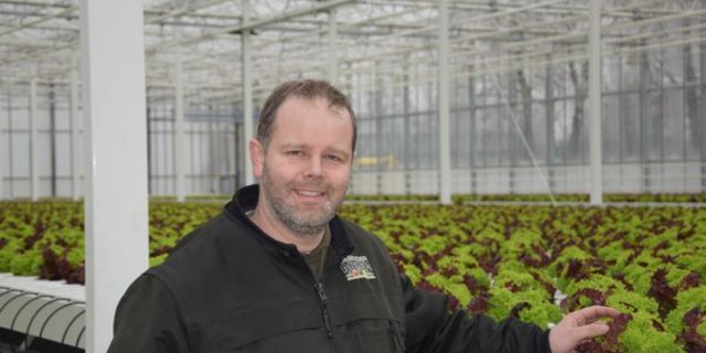Gemüseproduzent Markus Meier glaubt an das Potenzial seines Hydrosalats. Die Setzlinge wachsen in Rinnen. Durch diese fliesst zweimal pro Stunde mit einer Nährlösung angereichertes Wasser, das die Wurzeln mit allem versorgt, was die Pflänzchen brauchen. (Bild Jeanne Woodtli)