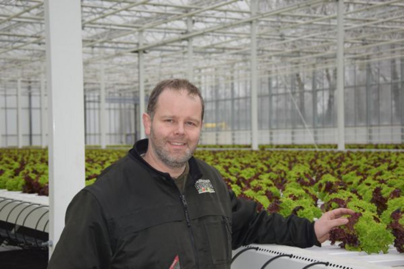 Gemüseproduzent Markus Meier glaubt an das Potenzial seines Hydrosalats. Die Setzlinge wachsen in Rinnen. Durch diese fliesst zweimal pro Stunde mit einer Nährlösung angereichertes Wasser, das die Wurzeln mit allem versorgt, was die Pflänzchen brauchen. (Bild Jeanne Woodtli)