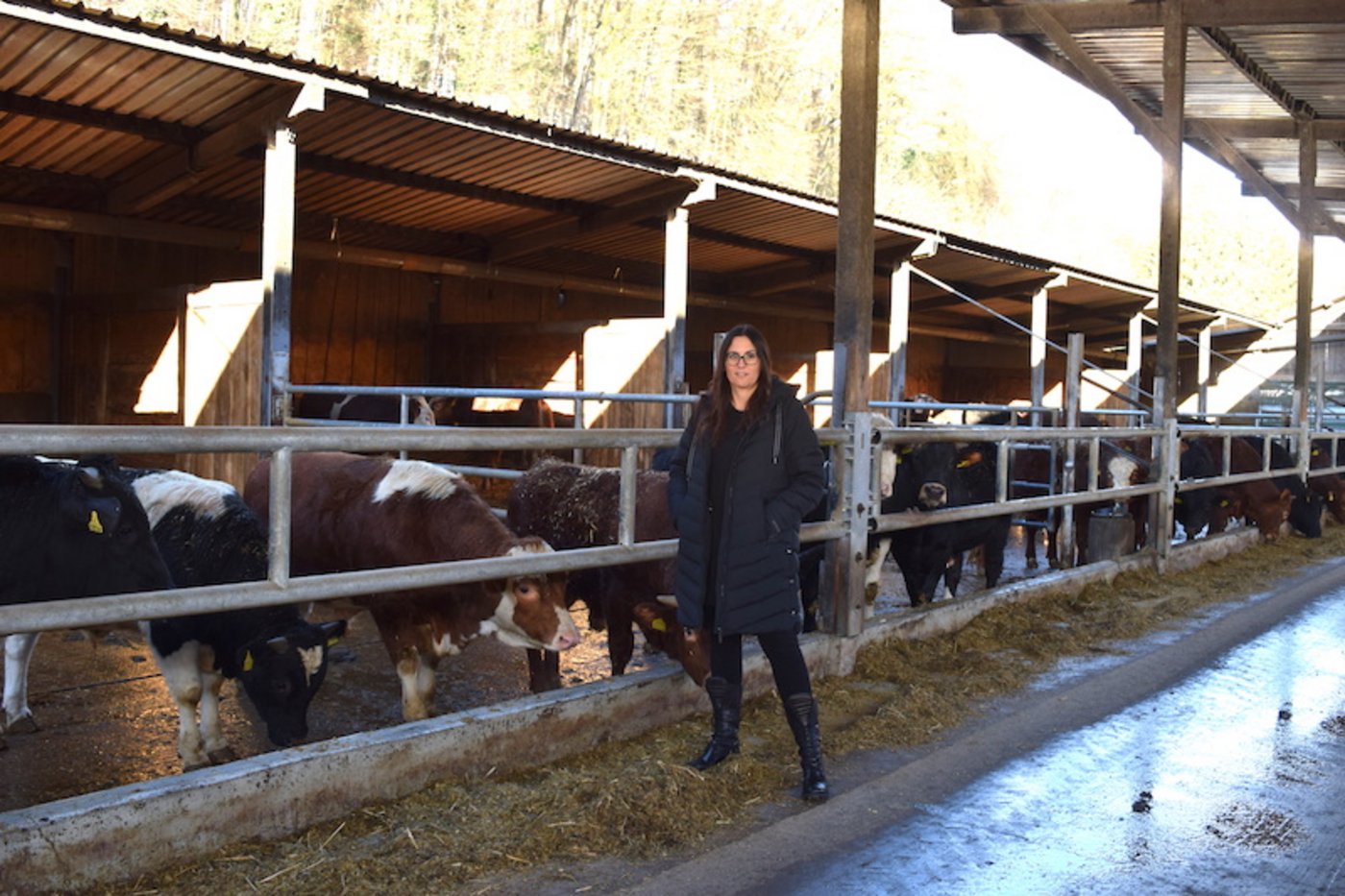 Andrea Müller im Munimaststall, der offen gebaut ist. Die Tiere werden grösstenteils mit betriebseigenem Futter versorgt. (Bild Stefanie Giger)