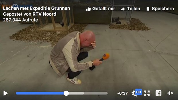 Der TV-Reporter kann nicht mehr. (Screenshot RTV Noord/Facebook)