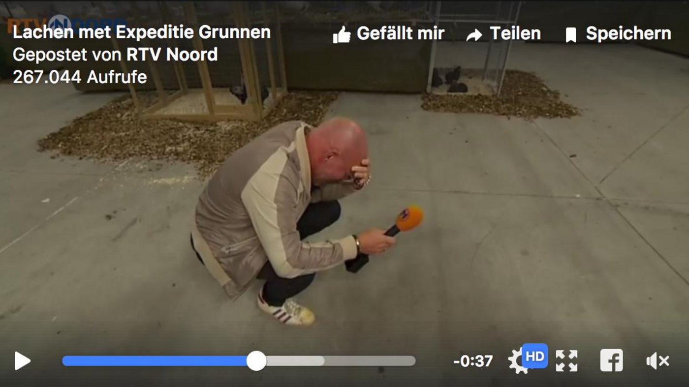 Der TV-Reporter kann nicht mehr. (Screenshot RTV Noord/Facebook)