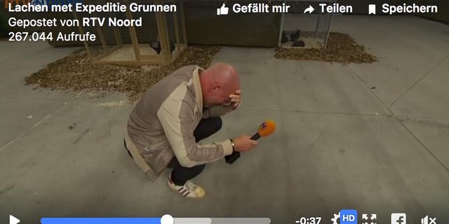 Der TV-Reporter kann nicht mehr. (Screenshot RTV Noord/Facebook)