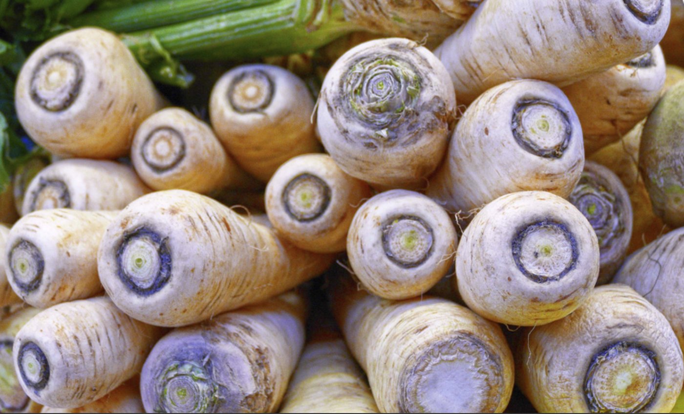 Die Pastinake erinnert im Geschmack an Kartoffeln oder Sellerie. 