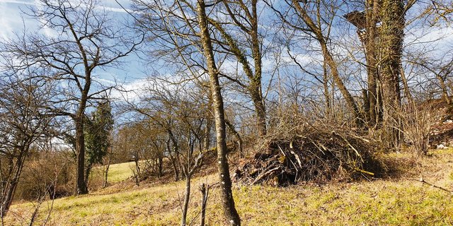 Es muss nicht immer alles weggeräumt werden: So können beispielsweise zu einem Haufen zusammengetragene Äste als Unterschlupf für Wildtiere dienen. (Bild BauZ)