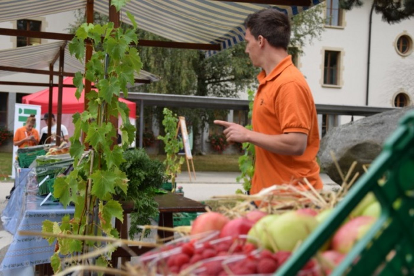 Am Marktstand sollen die Kandidaten ihre Produkte möglichst gut und korrekt präsentieren. Da muss alles Stimmen. (Bild jba)