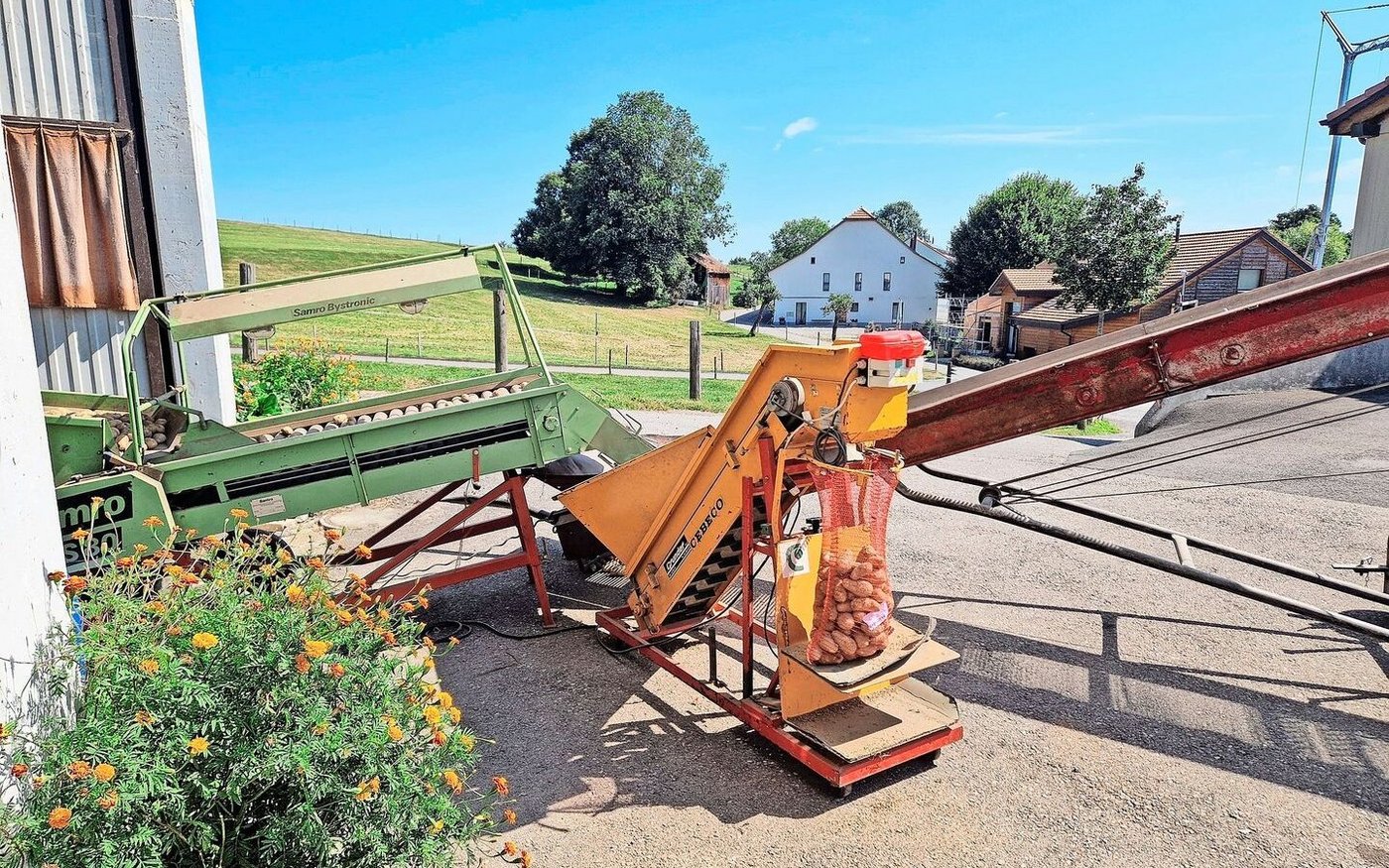 Für Ernte und Verlesen von Kartoffeln sind verschiedene Maschinen nötig. Bis die Sortierbänder eingerichtet sind, dauert es eine Weile.