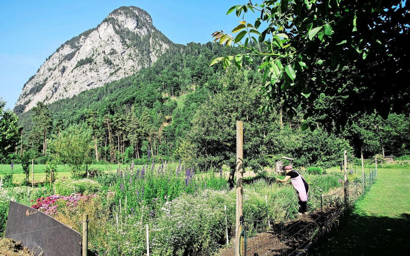 In Wimmis im Berner Oberland hat Carmen von Ballmoos auf einer Wiese ein Blumenfeld angelegt.