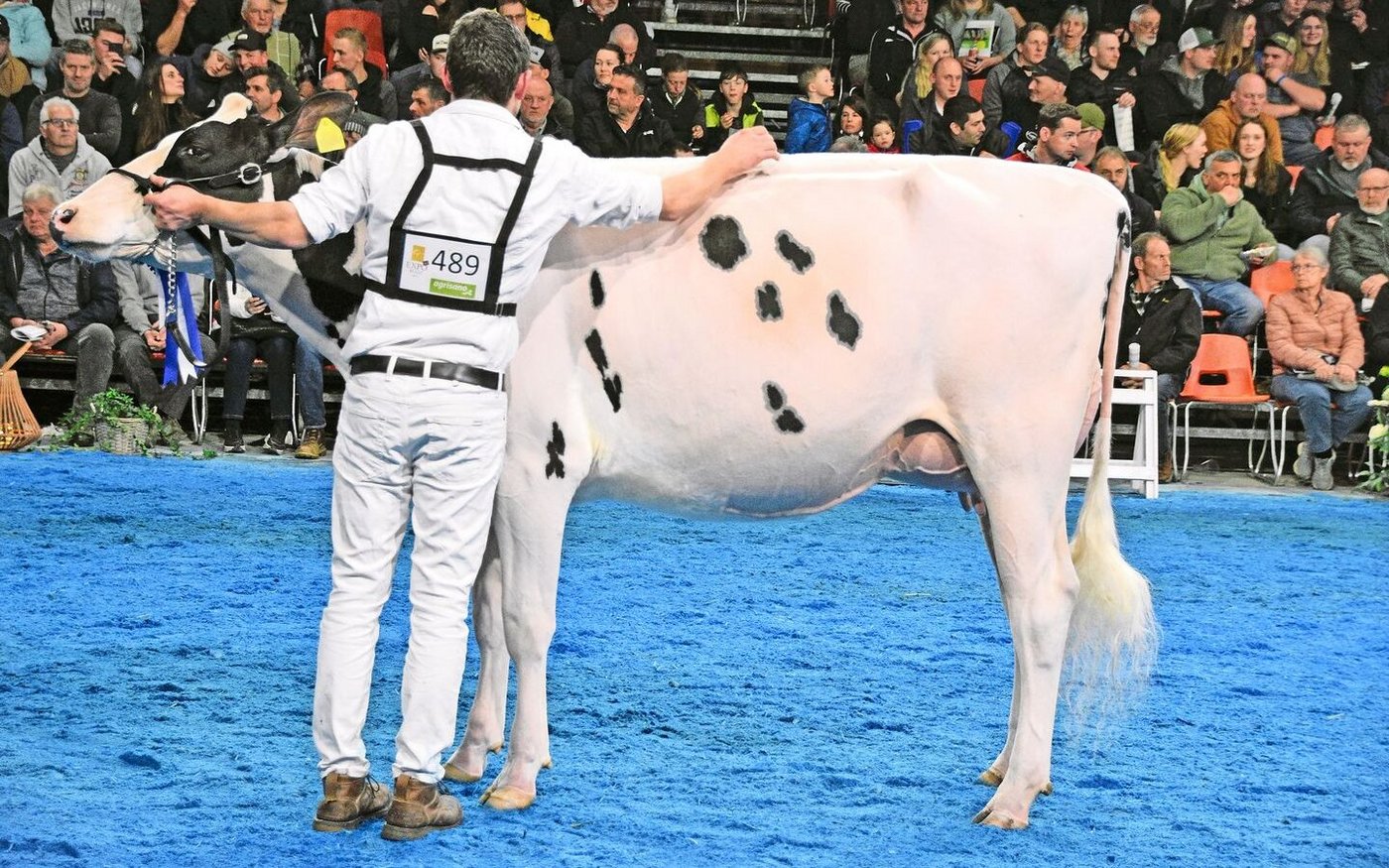 In der starken Abteilung fünf sicherte sich Fankis Chief Amyly von Martin Fankhauser aus Burgistein den zweiten Platz.