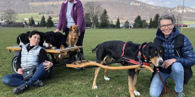 Die Hundewägeli-Crew macht Pause (v. l. n. r.): Ursi Montinaro mit ihren beiden Berner Sennenhündinnen Ruwani und Kyra, Anita Niesink mit Pekinese-Mischlings-Dame Luna und Susanne Spaltenstein mit Schweizer Sennenhündin Nala. (Bilder und Video Esther Thalmann)