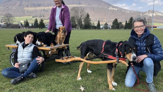 Die Hundewägeli-Crew macht Pause (v. l. n. r.): Ursi Montinaro mit ihren beiden Berner Sennenhündinnen Ruwani und Kyra, Anita Niesink mit Pekinese-Mischlings-Dame Luna und Susanne Spaltenstein mit Schweizer Sennenhündin Nala. (Bilder und Video Esther Thalmann)