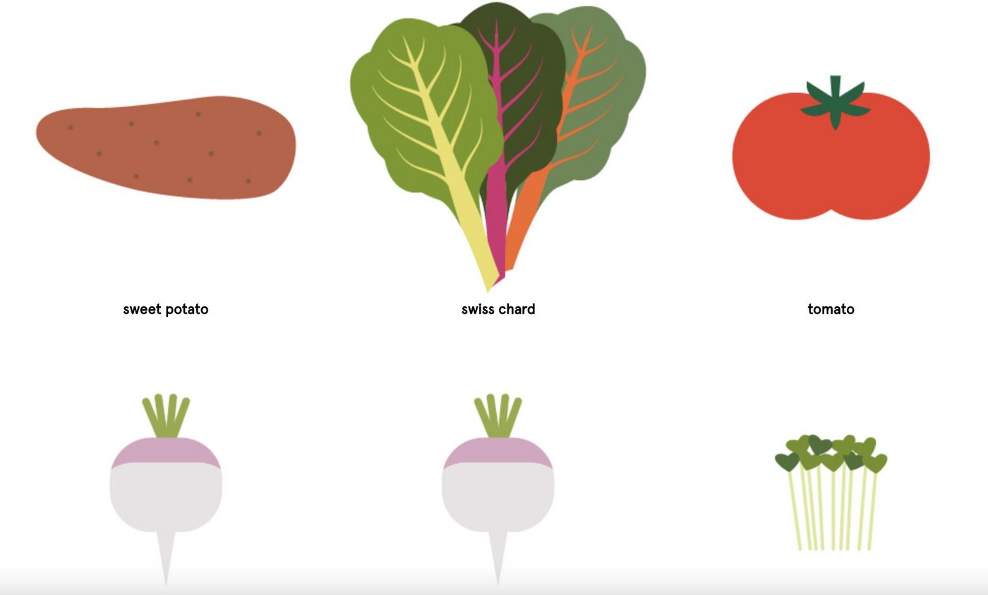 Über ganz Europa gesehen sind im März 41 Frucht-und 110 Gemüsesorten verfügbar. Je nach Land bzw. Klimazone ist das Angebot aber deutlich kleiner. (Bild Screenshot EUFIC) 