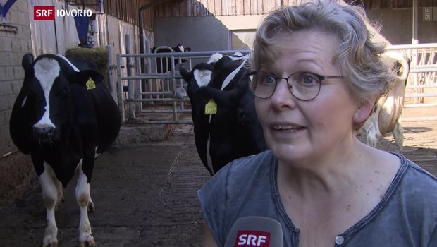 Die Präsidentin des Bäuerinnen- und Landfrauenverbands, Christine Bühler hat sich nicht gescheut, auch im Fernsehen gegen die Hornkuh-Initiative anzutreten. (Bild Screenshot SRF)