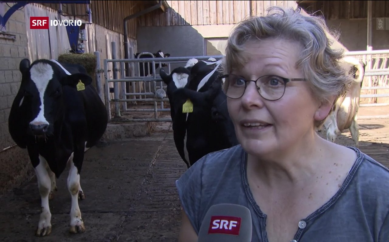 Die Präsidentin des Bäuerinnen- und Landfrauenverbands, Christine Bühler hat sich nicht gescheut, auch im Fernsehen gegen die Hornkuh-Initiative anzutreten. (Bild Screenshot SRF)
