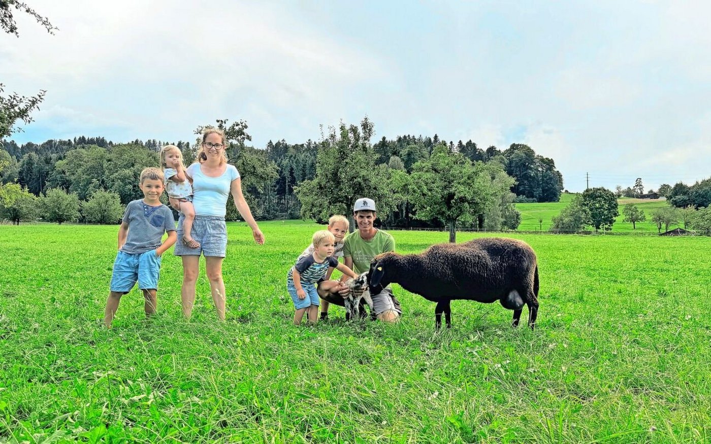 Reto Greminger (ganz rechts kniend) und Andrea Greminger (Mitte stehend) mit ihren Kindern Dario, Dian, Leano und Alina schätzen die Zutraulichkeit der Engadinerschafe. 