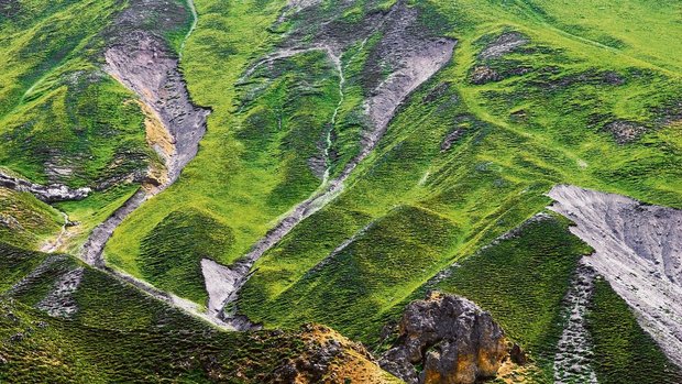 Ohne Beweidung: Erosion in Hängen des Schweizer Nationalparks. 