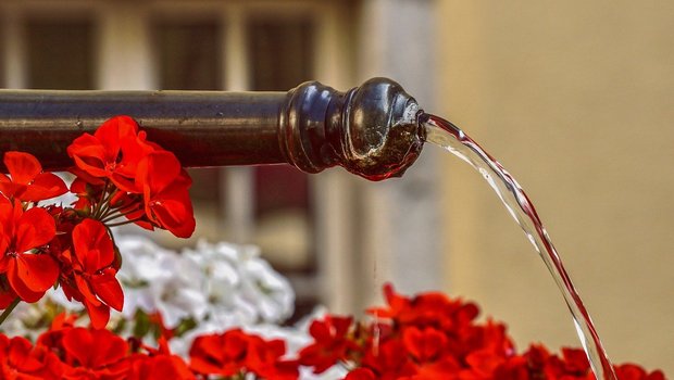 Die Delegierten der SP befürworten die Trinkwasser-Initiative und die Pestizid-Verbots-Initiative. (Bild Pixabay)