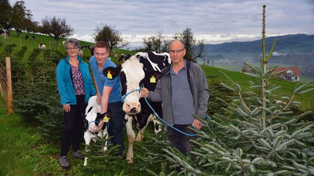 Betriebsleiterpaar M Betriebsleiterpaar Marlies und Peter Hodel mit Sohn Adrian präsentieren Stammkuh HoWi Fever Rosina mit Kalb.