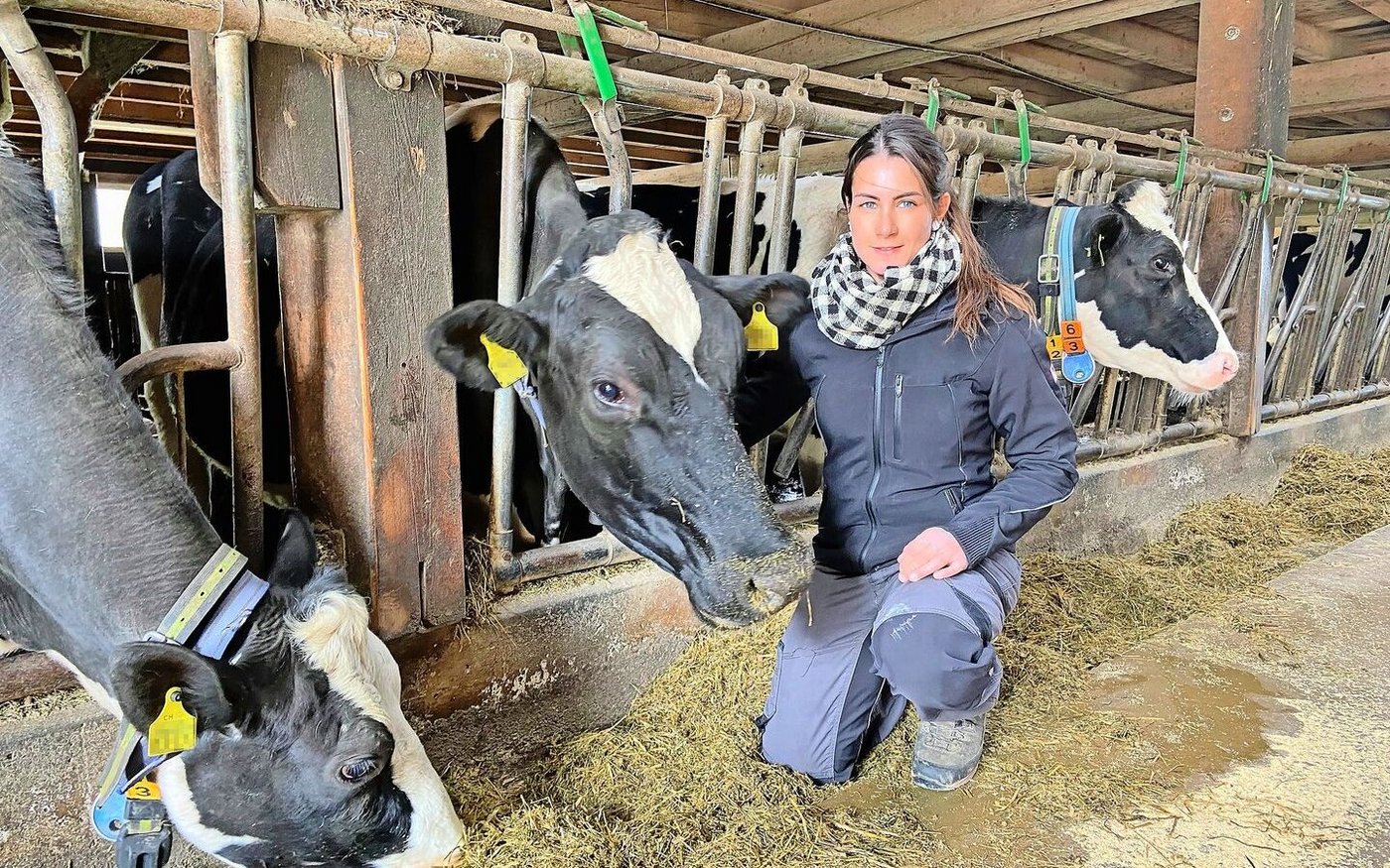 70 Kühe liefern Milch für Emmi – hauptsächlich Holstein. Im Stall ist die gelernte Landwirtin Sabrina Frauchiger täglich anzutreffen. Weil es zwei Ställe gibt, macht sie den einen, ihr Partner den anderen.  