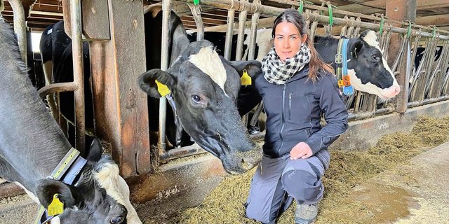 70 Kühe liefern Milch für Emmi – hauptsächlich Holstein. Im Stall ist die gelernte Landwirtin Sabrina Frauchiger täglich anzutreffen. Weil es zwei Ställe gibt, macht sie den einen, ihr Partner den anderen.  